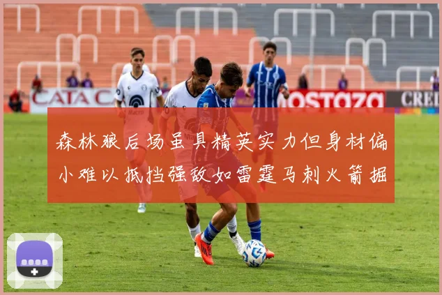 森林狼后场虽具精英实力但身材偏小难以抵挡强敌如雷霆马刺火箭掘金